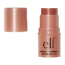 اي ال اف - ستيك متعدد الاستخدامات مونوكروماتيك 5 جرام