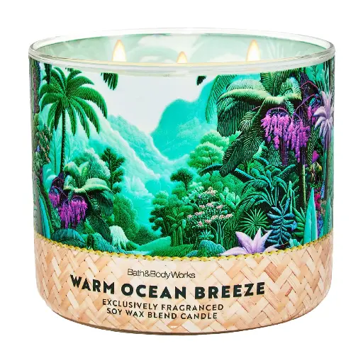 باث اند بودي واركس - وارم اوشين برييز شمعة معطرة 411 جرام